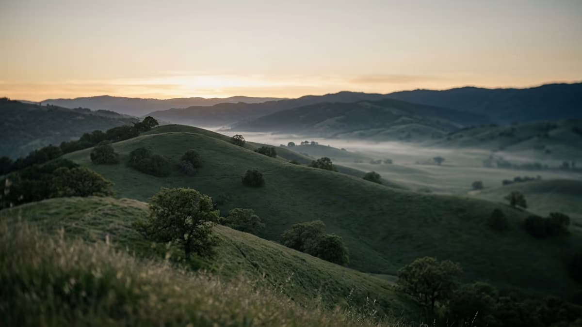 Rolling California hills with oak trees at dusk as evening fog settles quietly into the valleys