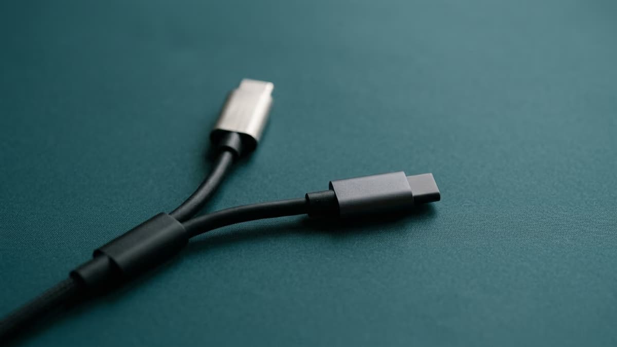 A single cable splitting into two branches that end in two different connectors, illustrating one phone number doing two separate jobs