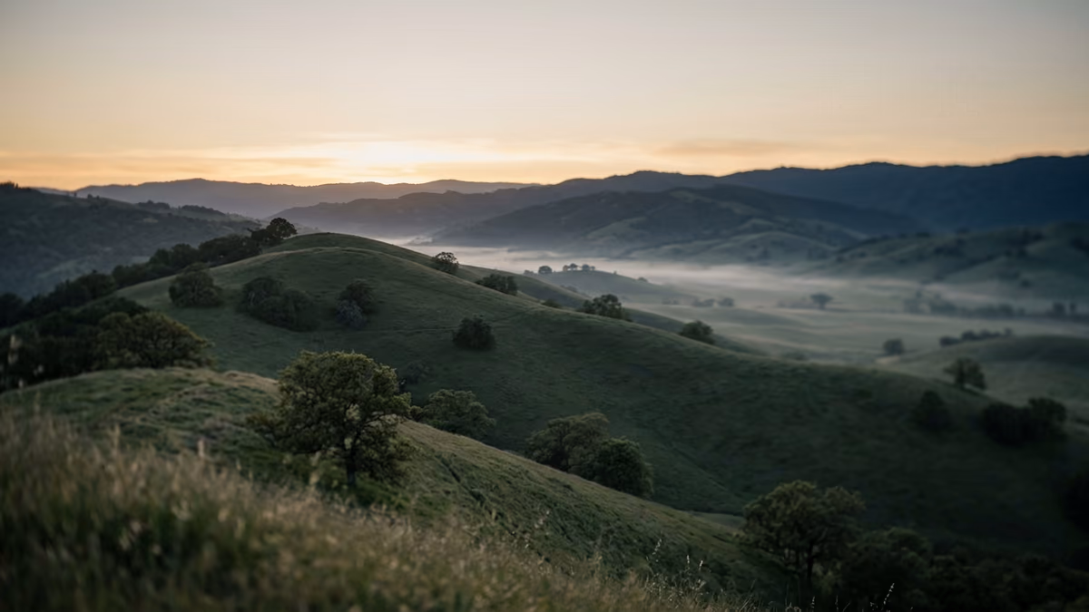 Rolling California hills with oak trees at dusk as evening fog settles quietly into the valleys
