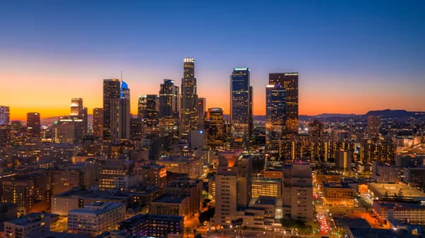 Los Angeles downtown skyline with palm trees